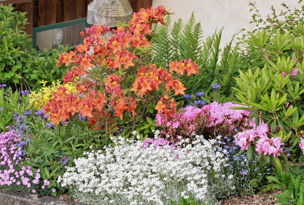 Tag des offenen Gartens Waldesfrieden